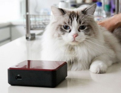 Intel Next Unit of Computing Image 01